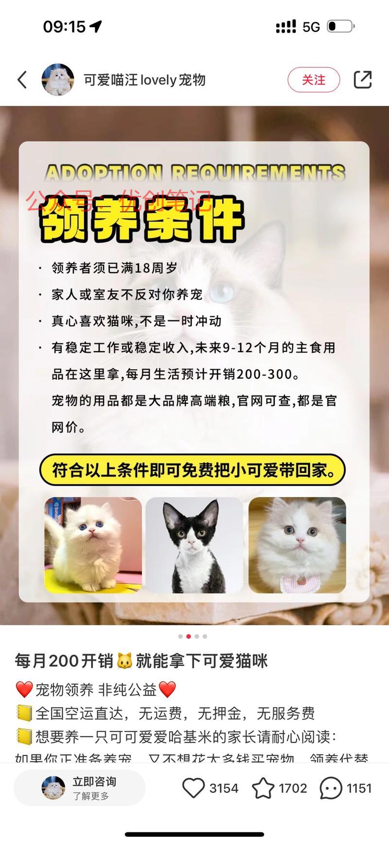 小红书变向销售，领养后…#情报-搞钱线报📢论坛-网创交流-优创圈